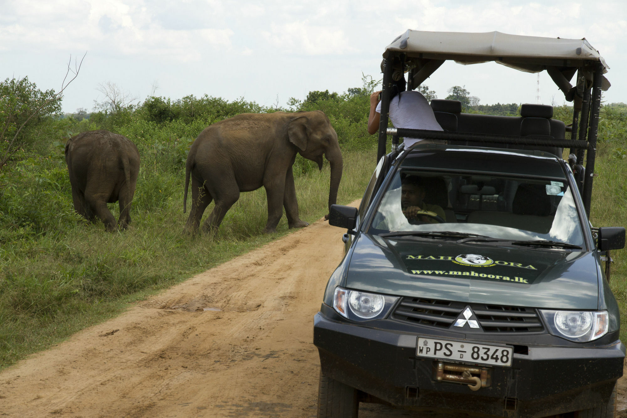 Mahoora Tented Safari Camp Udawalawe Hotel Exterior photo