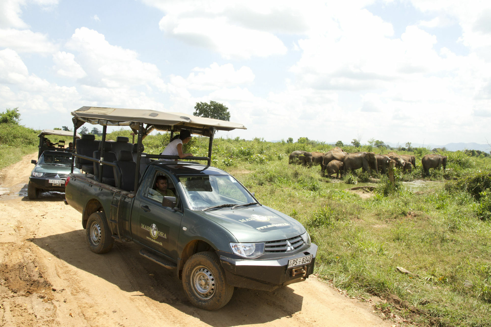 Mahoora Tented Safari Camp Udawalawe Hotel Exterior photo