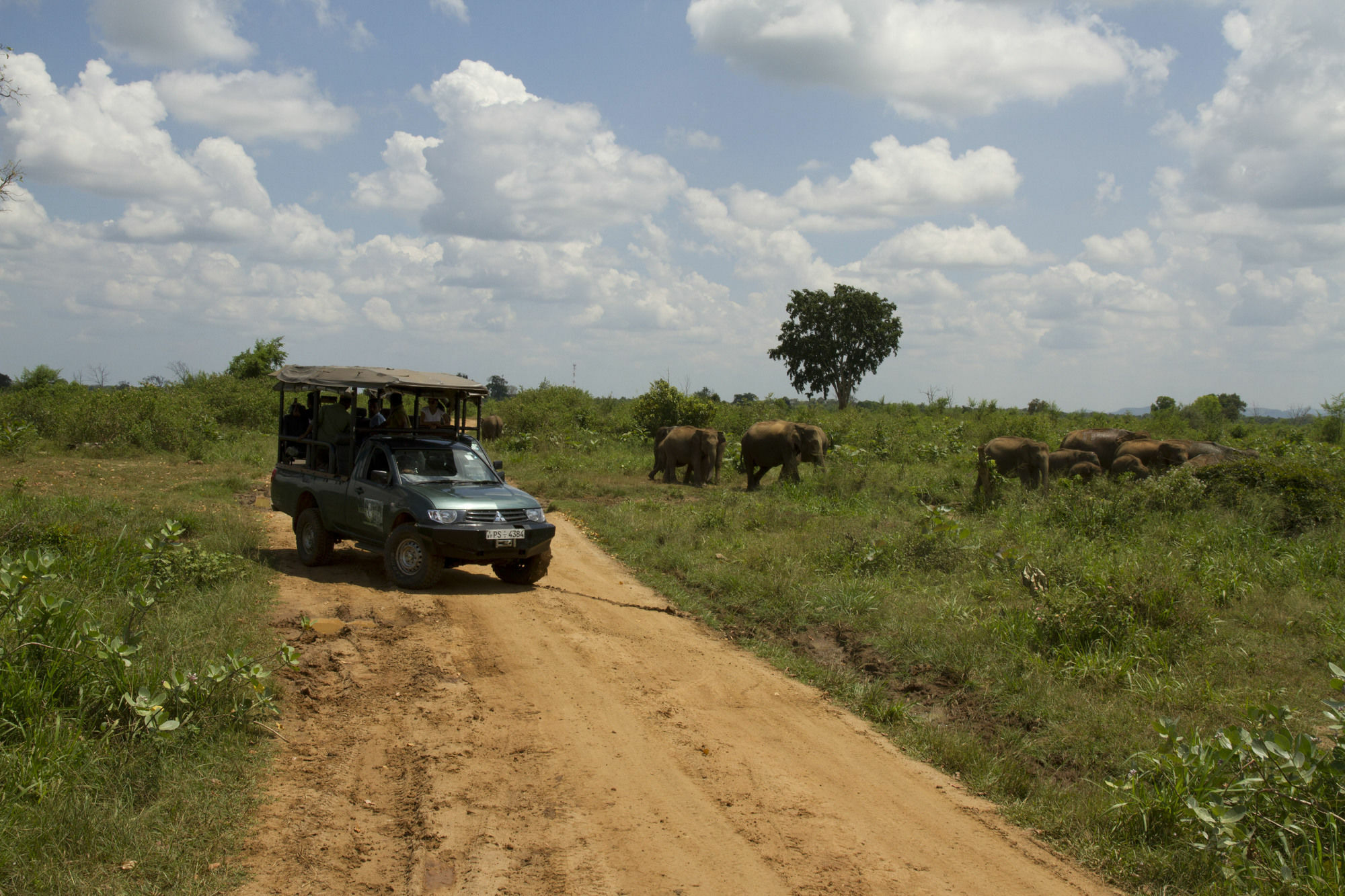 Mahoora Tented Safari Camp Udawalawe Hotel Exterior photo